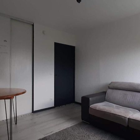 Studio Cosy Lyon Apartment Bagian luar foto
