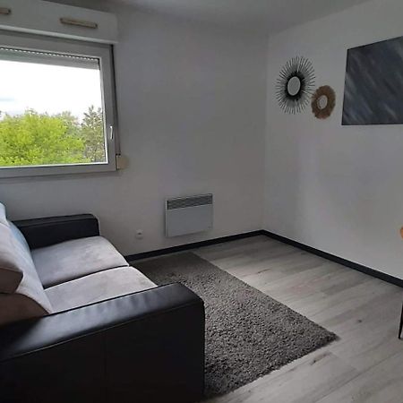 Studio Cosy Lyon Apartment Bagian luar foto