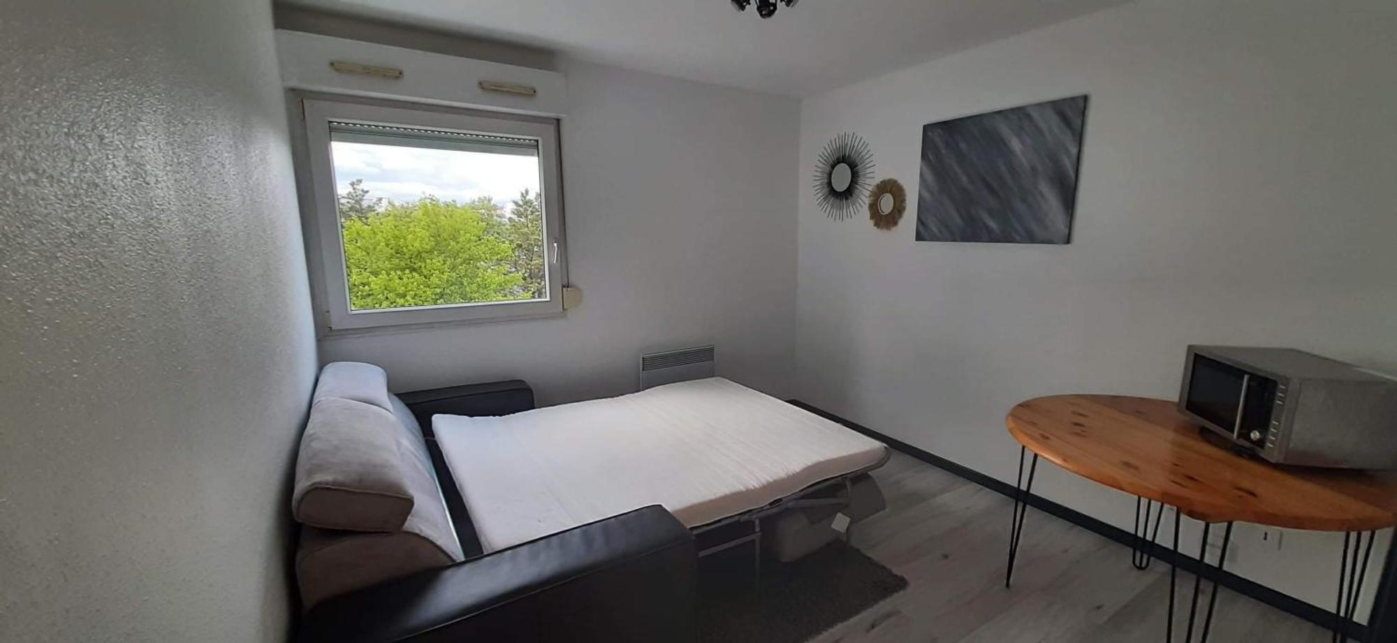 Studio Cosy Lyon Apartment Bagian luar foto