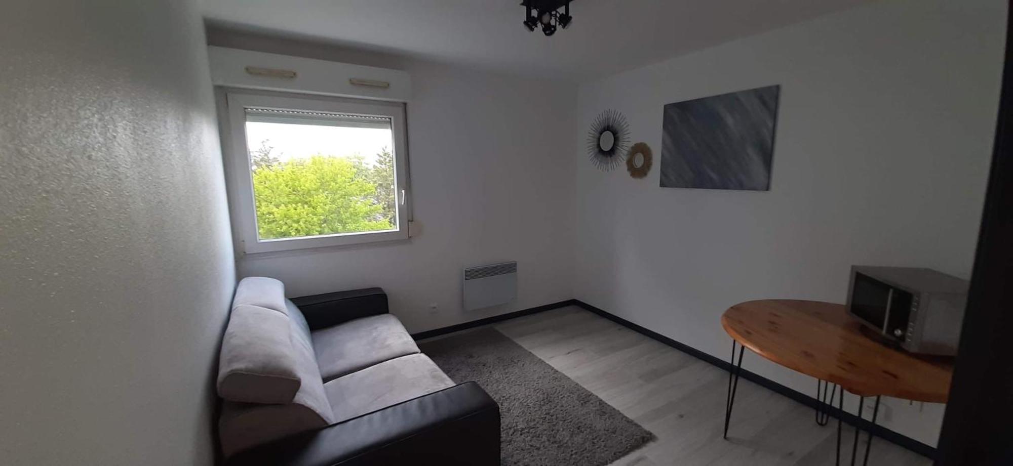 Studio Cosy Lyon Apartment Bagian luar foto